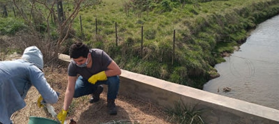El Comité de Cuenca del Río Luján realizó un nuevo muestreo de calidad