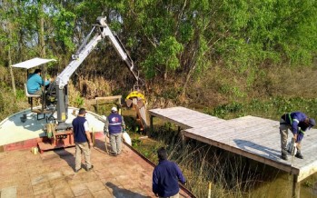 Tigre: continúan las inspecciones para poner freno al negocio inmobiliario en el Delta