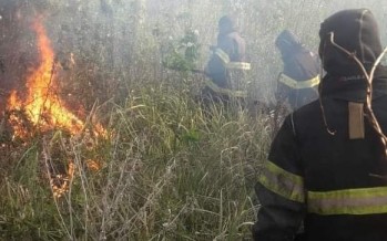 Bomberos de San Fernando apagaron un incendio en el Delta