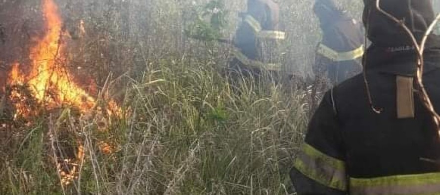 Bomberos de San Fernando apagaron un incendio en el Delta