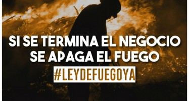 Diputados: dictamen favorable de comisión al proyecto de ley que busca frenar los incendios