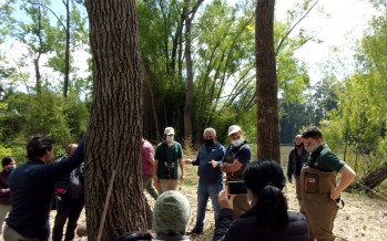 Relevamiento de biodiversidad en el Centro de Interpretación de Humedales de Tigre