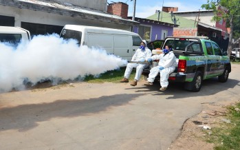San Fernando comenzó la campaña de prevención contra el Dengue 2020-2021