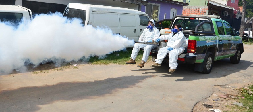 San Fernando comenzó la campaña de prevención contra el Dengue 2020-2021
