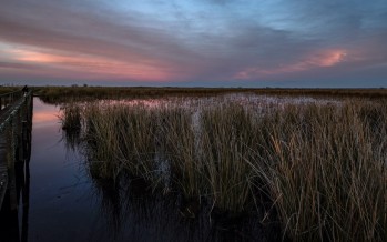 Jornada de limpieza en el Parque Nacional Ciervo de los Pantanos