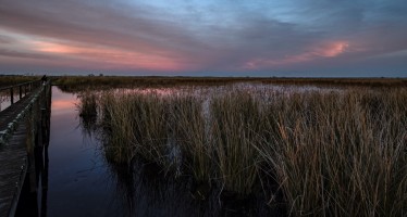 Jornada de limpieza en el Parque Nacional Ciervo de los Pantanos