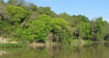 Delta del Paraná: el Ministerio de Ambiente oficializó la creación de la Red de Faros de Conservación