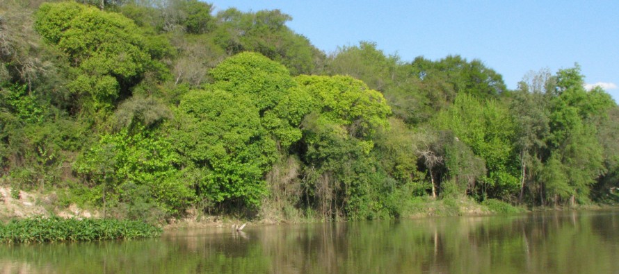 Dictamen favorable para la creación de la Universidad Nacional del Delta