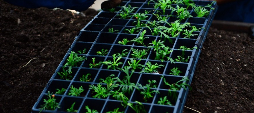 Comenzaron los cursos de capacitación sobre huerta agroecológica en Escobar