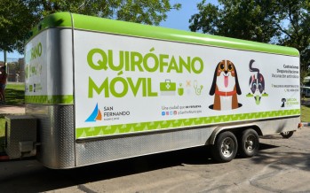 San Fernando: turnos online y operativos barriales del quirófano móvil de Zoonosis