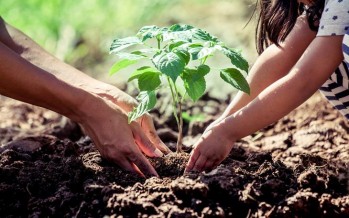 Diferentes organizaciones ambientales piden la aprobación de la Ley de Educación Ambiental