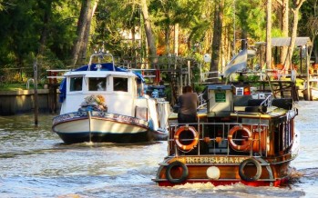Tigre fue una de las ciudades más visitadas de la provincia durante las vacaciones de invierno