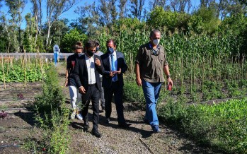 Kicillof y Berni recorrieron la huerta agroecológica de Ingeniero Maschwitz
