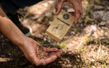 Escobar: se entregaron más de 10 mil kits de semillas de verduras y hortalizas y 90 mil de semillas aromáticas