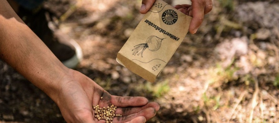 Escobar: se entregaron más de 10 mil kits de semillas de verduras y hortalizas y 90 mil de semillas aromáticas