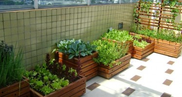 Huerta en casa, una actividad que crece en nuestros municipios