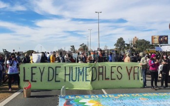 Día Mundial de los Humedales: ¿Qué falta para tener una ley que regule su uso?