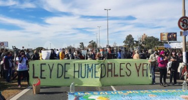 Día Mundial de los Humedales: ¿Qué falta para tener una ley que regule su uso?