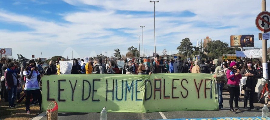 Día Mundial de los Humedales: ¿Qué falta para tener una ley que regule su uso?