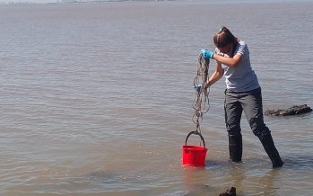 Tomaron muestras del Río de la Plata para conocer la calidad del agua