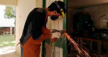 Estufas de alto rendimiento para el Delta del Paraná