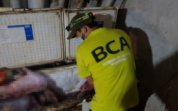 Golpe a la caza furtiva en el Delta: se secuestraron 700 kilos de carne de animales silvestres