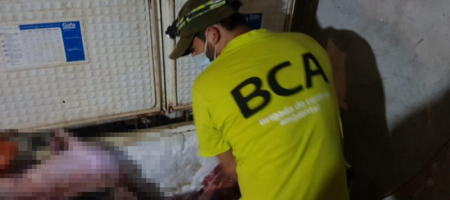 Golpe a la caza furtiva en el Delta: se secuestraron 700 kilos de carne de animales silvestres