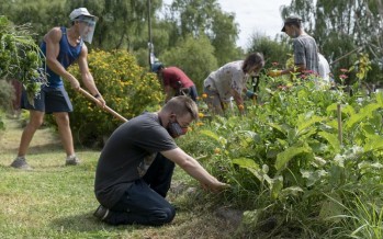 San Isidro lanzó un mapa agroecológico para localizar huertas y composteras