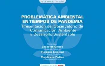 Encuentro virtual “Problemática ambiental en tiempos de pandemia”