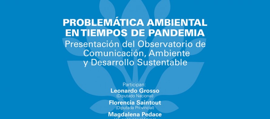 Encuentro virtual “Problemática ambiental en tiempos de pandemia”