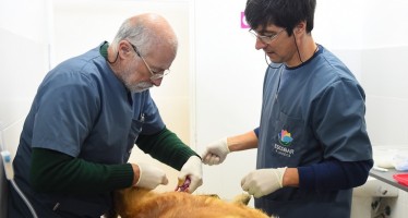 Cristian Pisaco: “Escobar está en una vara alta en cuanto salud animal”