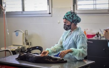 El Hospital Municipal de Zoonosis de Escobar fue elegido por la UBA para las prácticas profesionales