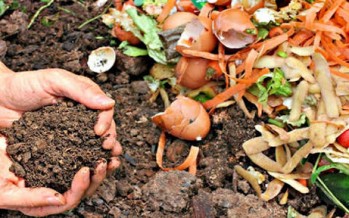 En el Mes del Compostaje, ¿cómo promueven hacer compost los distintos municipios de la Zona Norte?