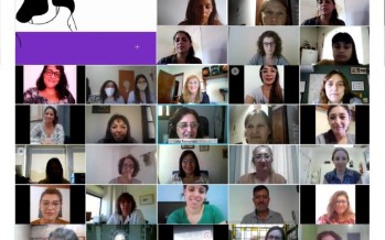 Municipios de la región participaron del Consejo de Articulación de Políticas de Género y Diversidad Sexual
