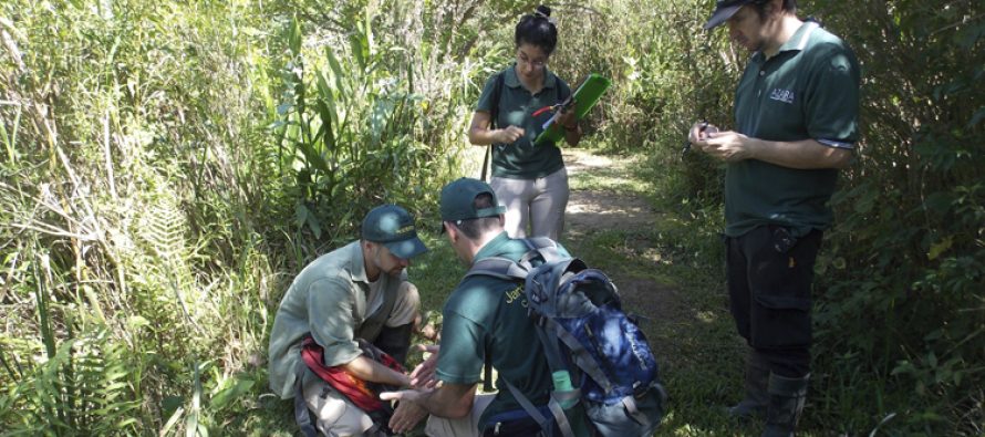 Reforestar con plantas nativas, una iniciativa para repensar la conservación ambiental