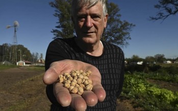SemillAR, una iniciativa que promueve el rescate y la producción de semillas nativas