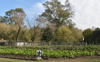 Abrió la preinscripción para los talleres de la Facultad de Agronomía en Escobar