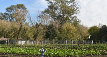 Abrió la preinscripción para los talleres de la Facultad de Agronomía en Escobar