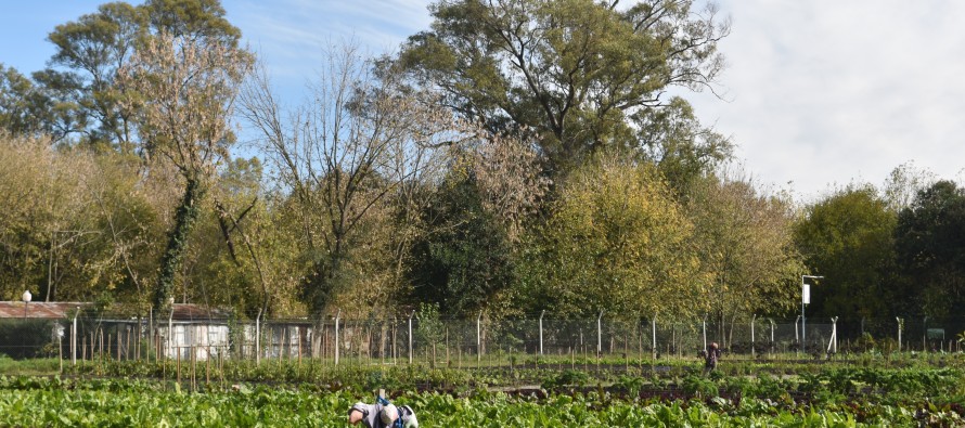 Abrió la preinscripción para los talleres de la Facultad de Agronomía en Escobar