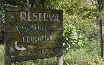 Reserva natural educativa de Ingeniero Maschwitz, un tesoro ambiental al alcance todos
