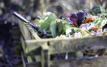 Compost: cómo transformar residuos orgánicos domiciliarios en abono