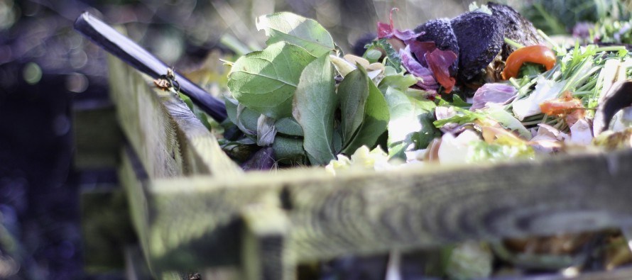 Compost: cómo transformar residuos orgánicos domiciliarios en abono