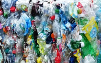 Transformar residuos: una alternativa sustentable para revalorizar el plástico post consumo