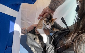 Dónde vacunar mascotas en San Isidro esta semana