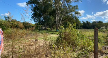 Ambientalistas y vecinos promueven la primera Reserva Natural Urbana y Pública de Tigre