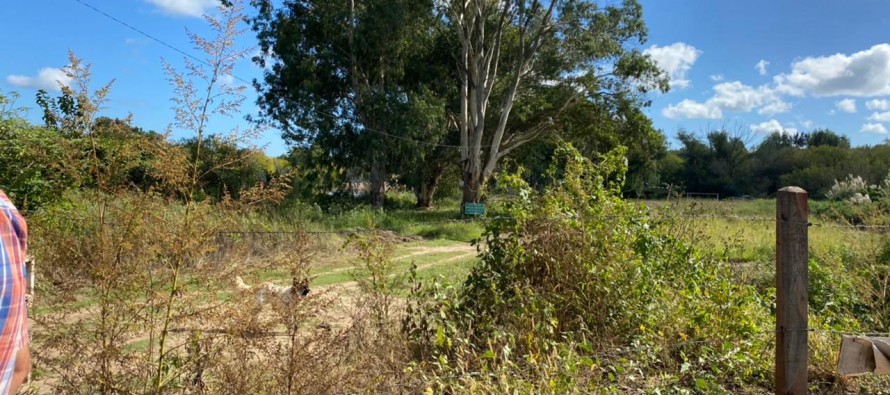 Ambientalistas y vecinos promueven la primera Reserva Natural Urbana y Pública de Tigre