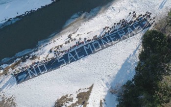 Argentina se convirtió en el primer país en prohibir la cría de salmones