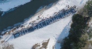 Argentina se convirtió en el primer país en prohibir la cría de salmones
