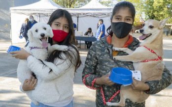 ¿Dónde vacunar a tus mascotas esta semana en San Isidro?