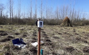 Se instalaron sensores en el Delta para obtener información para la producción mimbrera